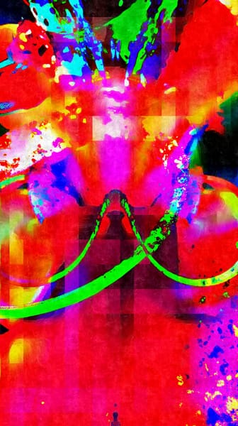 Warp Experiement Project (43)